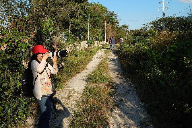 Private Tour: Birdwatching Cozumel Island - The 4-hour birding flow, and what to expect in the field
