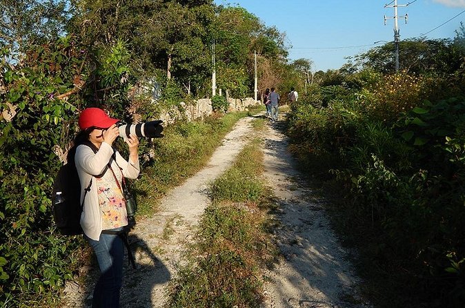 Private Tour: Birdwatching Cozumel Island - Species focus: endemic birds plus migratory visitors
