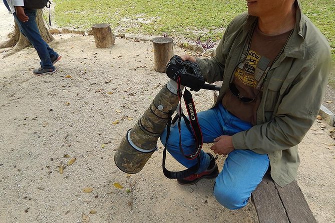 Private Tour: Birdwatching Cozumel Island - Price and value: what you get for $165 per person
