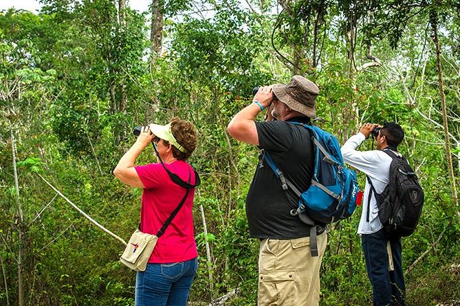 Private Tour: Birdwatching Cozumel Island - Meeting at Benito Juarez Park and the door-to-door pickup advantage
