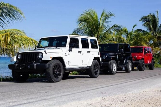 Private Tour Cozumel your way Jeep 4x4 up to 4 People - Key Highlights You’ll Actually Care About