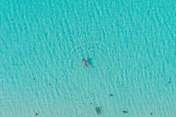 Private Tour in Cozumel El Cielo Sandbar and Reef Snorkeling - Playa El Cielo and Starfish Bay snorkeling: shallow water, calm pacing, and starfish viewing