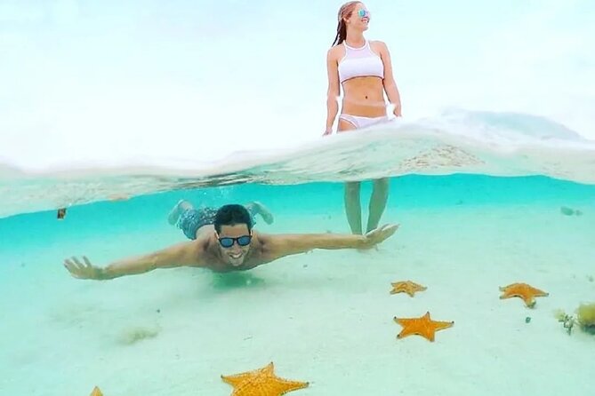 Private Tour in Cozumel El Cielo Sandbar and Reef Snorkeling - Price and value: is $189 per person fair for a private reef + El Cielo day