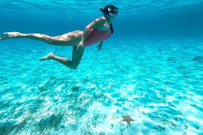 Private Tour in Cozumel El Cielo Sandbar and Reef Snorkeling - Who this tour fits best, and who should skip it