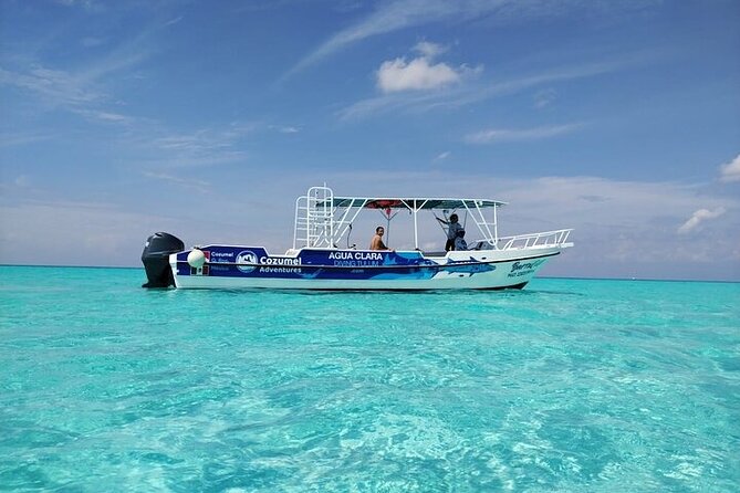 Private Tour in Cozumel El Cielo Sandbar and Reef Snorkeling - Stop 1: Colombia and Palancar Reefs, the real National Marine Park snorkeling hour