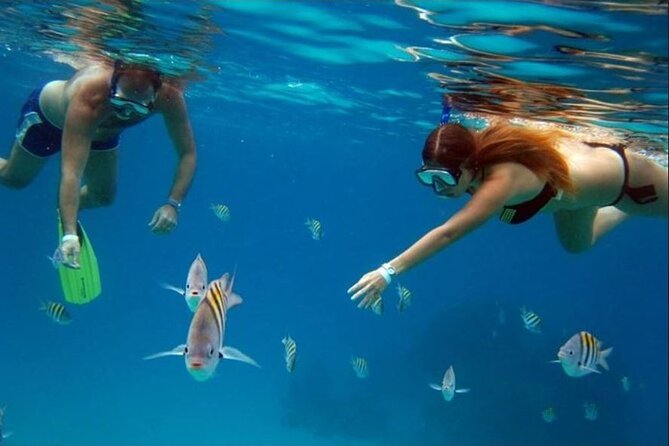 Private Tour of Cozumel in your own way Groups up to 6 People - Downtown Cozumel and the municipal market: best for orientation and local flavor