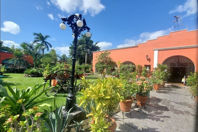 Private Tour of Cozumel in your own way Groups up to 6 People - Real pacing advice for groups with limited walking