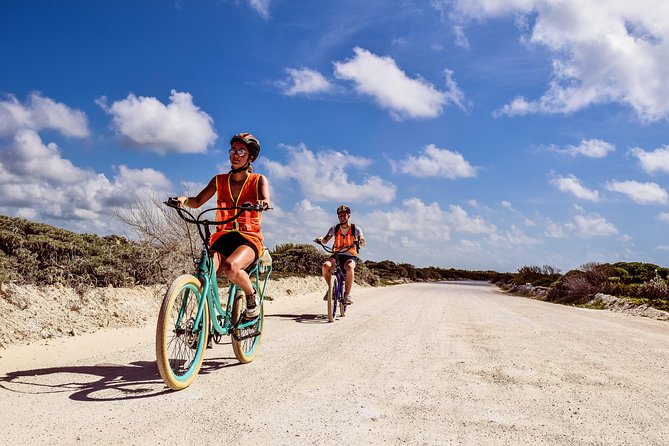 Punta Sur Eco Beach Park Electric Bike Tour in Cozumel - Price and value at $119: what you’re paying for and what you can skip