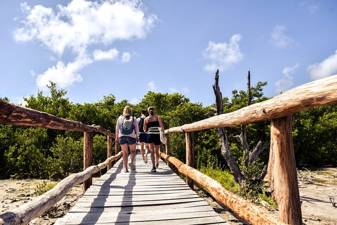 Punta Sur Eco Beach Park Electric Bike Tour in Cozumel - Beach Bum Cozumel meeting point, gear, and the ride out to Punta Sur