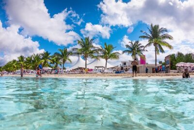 Roots Beach Club®