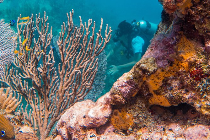 Scuba Diving in Cozumel Island - The 45-minute sail to the reef sites