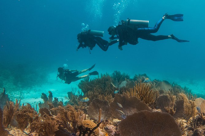 Scuba Diving in Cozumel Island - Between sessions: snacks, water, and a covered boat
