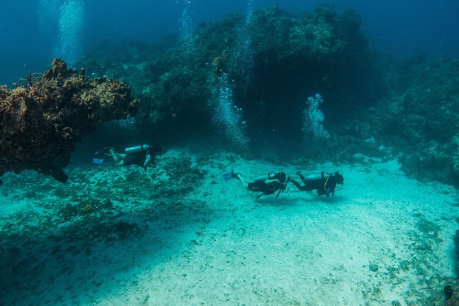 Scuba Diving in Cozumel Island - Nitrox, equipment sizing, and what you should budget