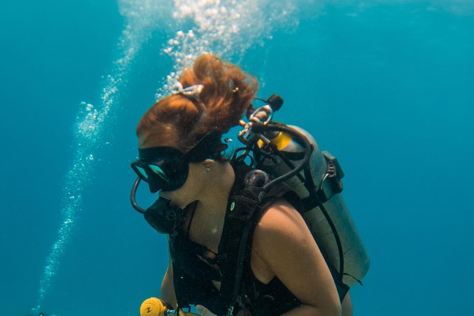Scuba Diving in Cozumel Island - Getting back around 3:30 PM, and using the open ferry ticket