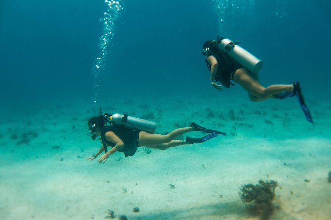 Scuba Diving in Cozumel Island - Who this is best for, from first-timers to learners