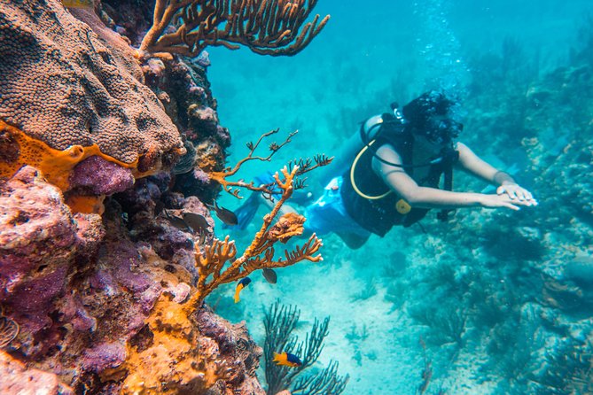 Scuba Diving in Cozumel Island - Meeting at the scuba center and planning your equipment early