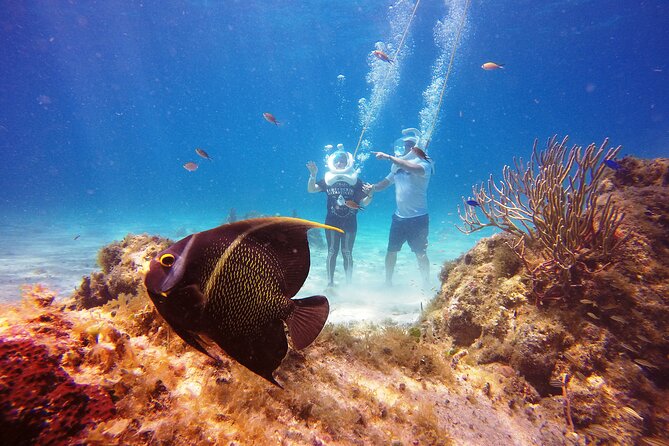 Sea Trek Adventure at Chankanaab National Park - Safety, fit, and comfort: the stuff that can make or break it