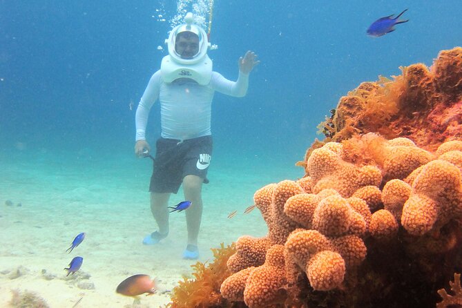 Sea Trek Adventure at Chankanaab National Park - Group size rules and how that affects your day