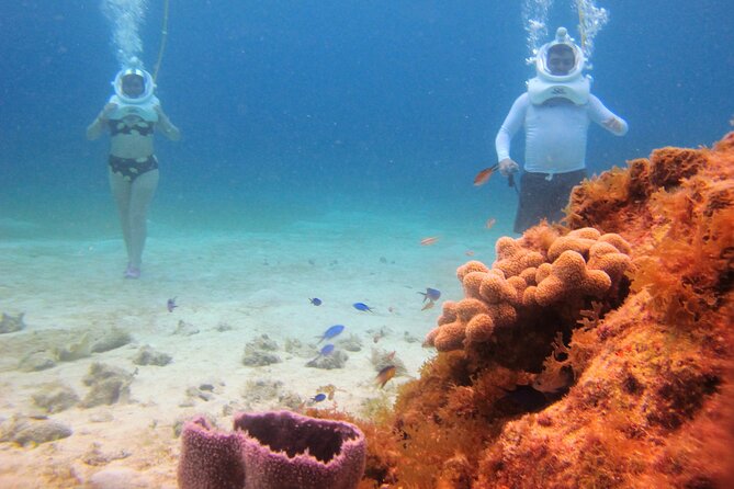 Sea Trek Adventure at Chankanaab National Park - Who Sea Trek at Chankanaab is best for