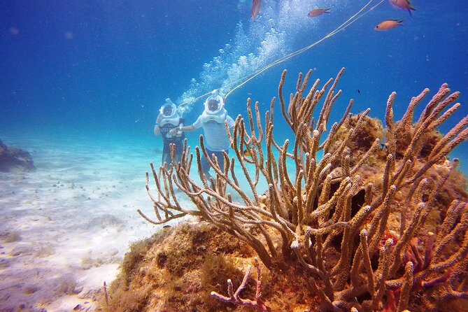 Sea Trek Adventure at Chankanaab National Park - Coral and fish viewing, plus what the reef walk feels like
