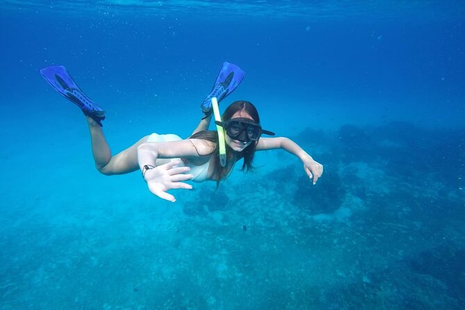 Shared Sky Snorkeling in Cozumel - What You Get on This 4-Hour Shared Sky Snorkeling Tour