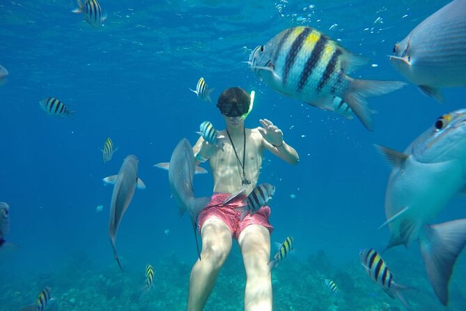 Shared Sky Snorkeling in Cozumel - Stop 2: Colombia Reef, Plus a Sea Turtle Sanctuary Area