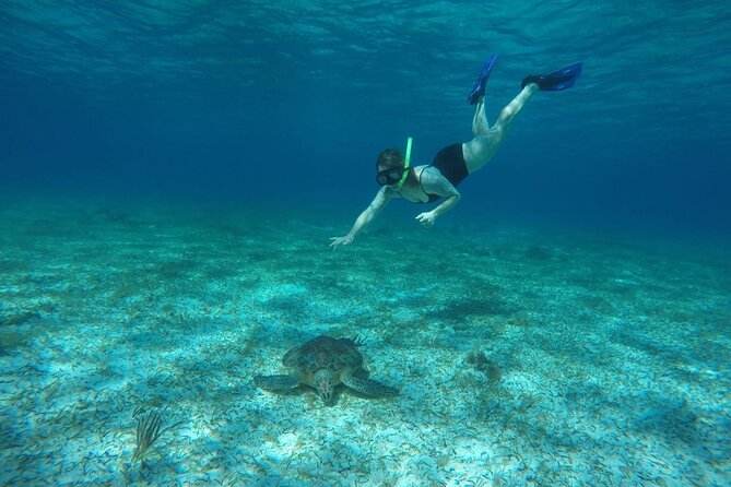 Shared Sky Snorkeling in Cozumel - Included Snacks and Drinks: The Real Standout Perk