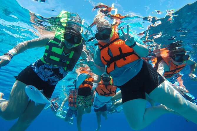 Shared Sky Snorkeling in Cozumel - Price and Timing: Why $56 Feels Reasonable for Cozumel Reefs
