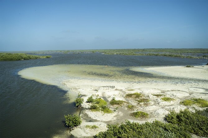 Shore Excursion: Buggy Tour, Punta Sur Park & Beach Relaxation - Price and value: what $143 buys you on a cruise day