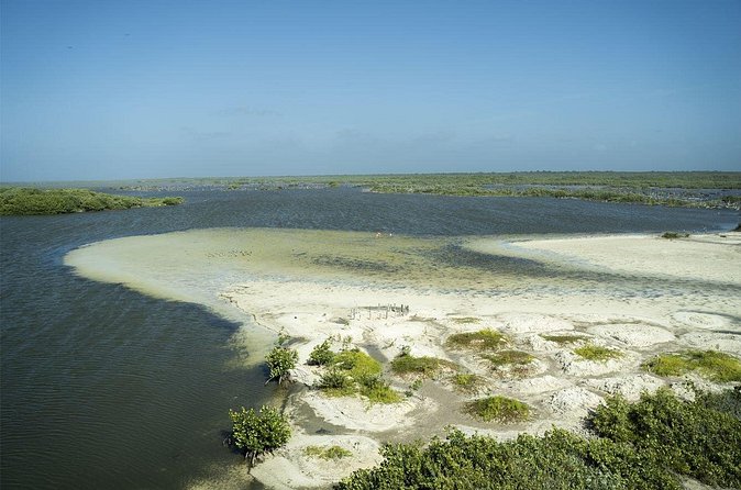 Shore Excursion: Buggy Tour, Punta Sur Park & Beach Relaxation - Who should book this buggy, park, and snorkeling mix