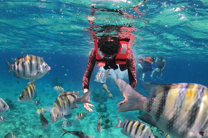 Shore Excursion: Clear Boat Ride, Snorkel & Drinks - Price and value for this 90-minute Cozumel shore excursion