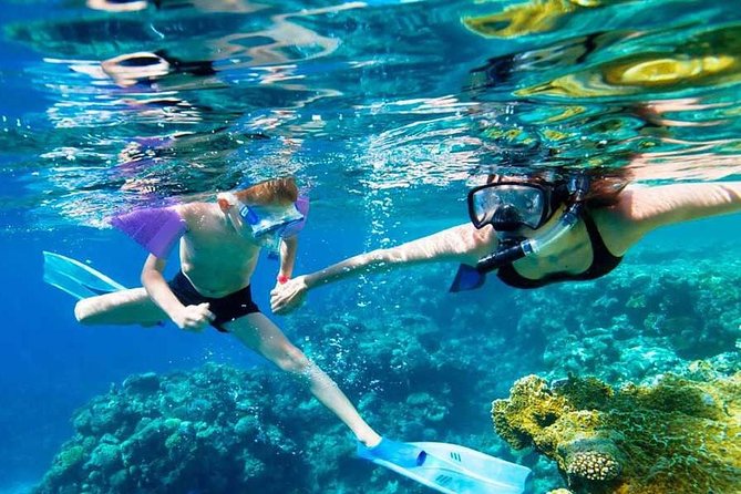 SkyReef Cozumel Snorkel & Tequila Tasting - Meeting at the beach club, and how to time it right