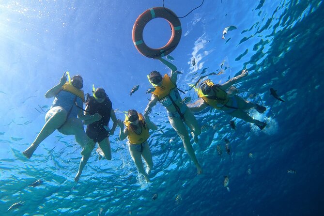 Snorkel along the coast, explore two reefs by Chivis del Mar - Price and What You Really Get for $35.85