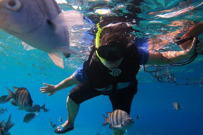 Snorkel along the coast, explore two reefs by Chivis del Mar - Stop at Dzul-Ha Reef: Coral Photos and a Second Chance at Sea Life