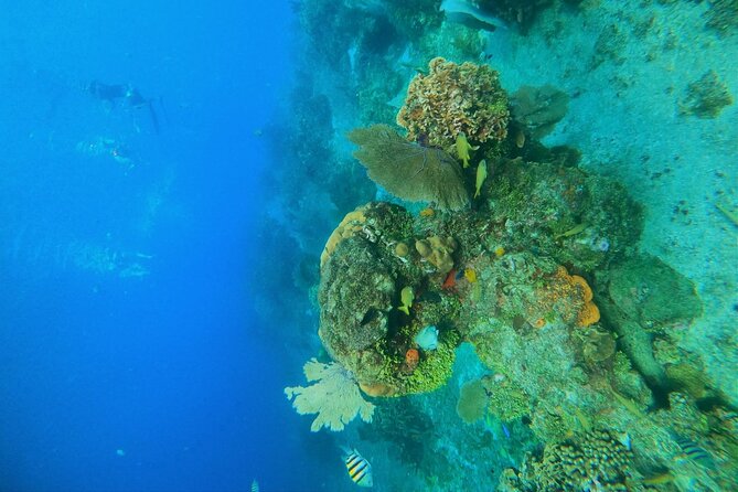 Snorkel along the coast, explore two reefs by Chivis del Mar - Centro Coast Segment: Drinks, Fruit, and Reset Time on the Water