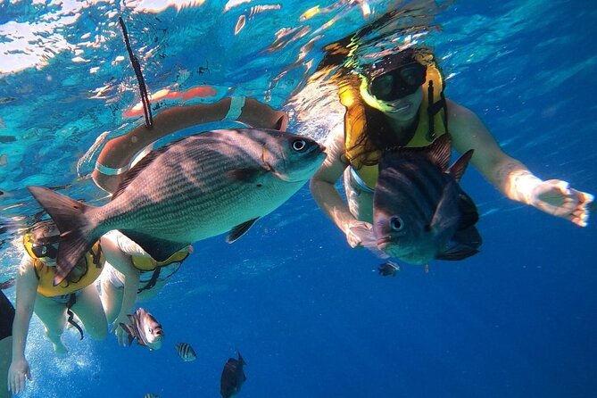 Snorkel along the coast, explore two reefs by Chivis del Mar - Gear, Reef Rules, and Safety Prep That Affect Your Comfort