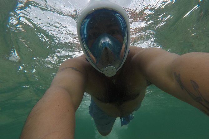 Snorkeling and Beach Club Access in Cozumel with Lunch - The 5-hour flow: what happens from meet-up to beach club return