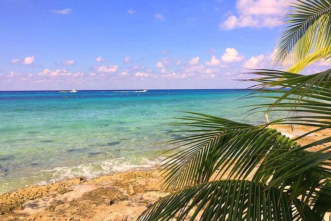 Snorkeling and Beach Club Access in Cozumel with Lunch - Lunch and beach club access: a laid-back Cozumel reset