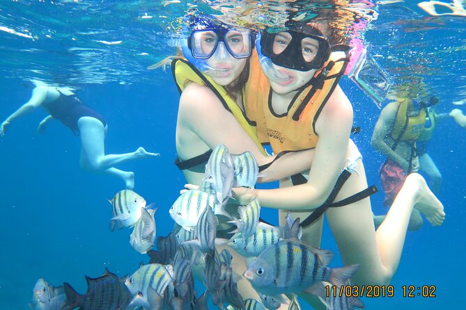 Snorkeling Trip at Cozumel Beach Club with Lunch Included - Stop 2, Paraiso Reef: Shallow and Deep Variety in a Tight Window