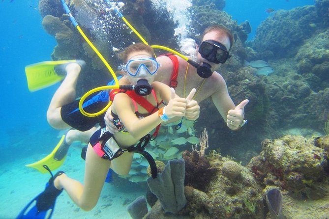 SNUBA Cozumel Underwater Adventure inside Chankanaab National Park - Chankanaab Park entrance fee, and why it can surprise cruise day plans