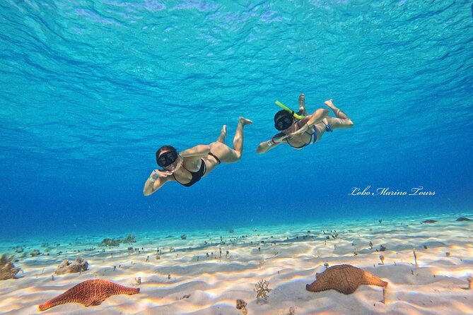 Star and Turtle Sanctuary Snorkeling Tour in Cozumel - Starfish Sanctuary stop: what you should expect to see