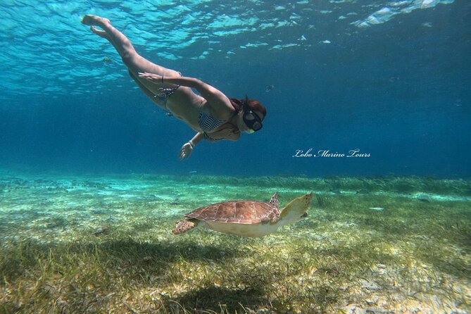 Star and Turtle Sanctuary Snorkeling Tour in Cozumel - Snacking, soda, and the food you actually get on board