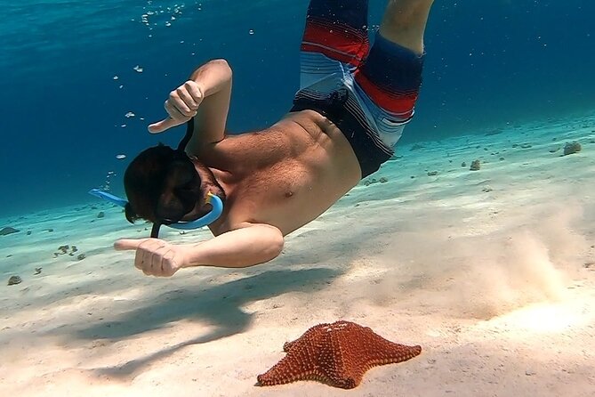 Starfish, Stingrays and the Turtle Sanctuary Snorkel Tour - The boat setup: shaded and small, but ladder comfort can be hit-or-miss