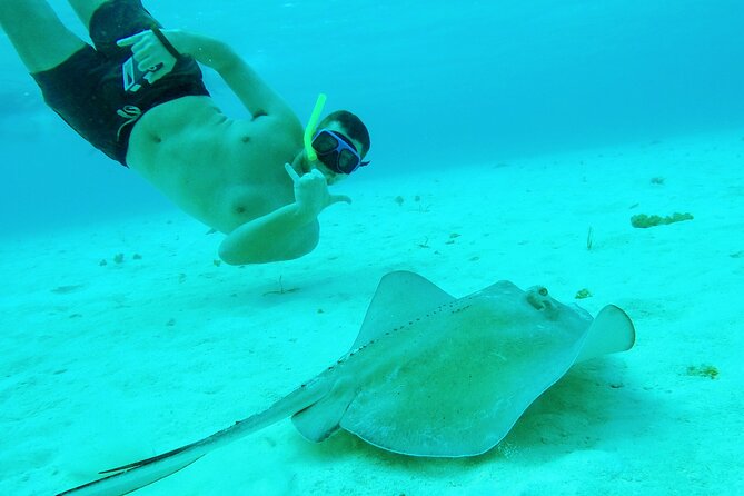 Starfish, Stingrays and the Turtle Sanctuary Snorkel Tour - The snack and drinks: what the boat crew actually serves
