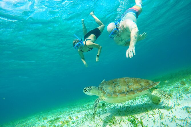 Starfish, Stingrays and the Turtle Sanctuary Snorkel Tour - What gear you get, and what you should bring anyway