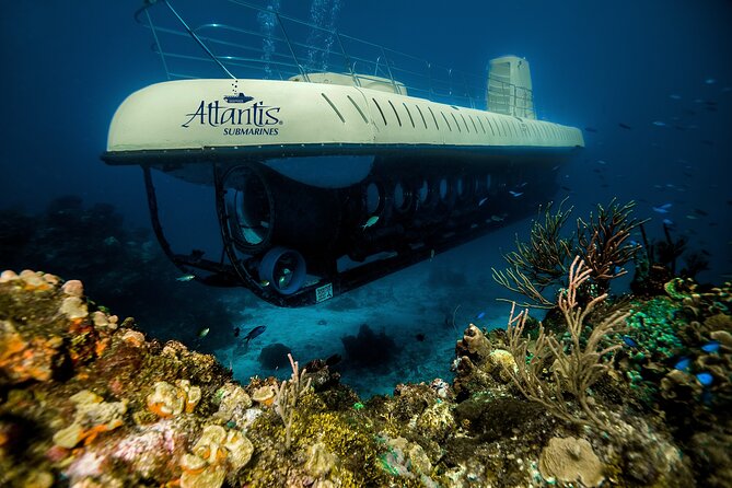 Submarine Atlantis Cozumel Adventure by Day & Sunset - Crew guidance, safety briefings, and the human side of the trip