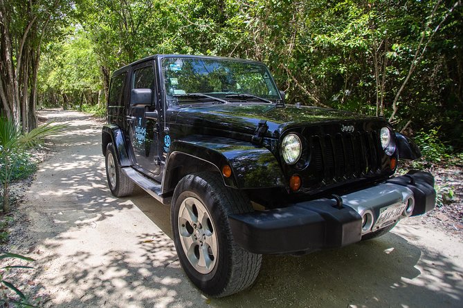 Super Cozumel Combo Snorkel by Boat and Jeep Exploration (Private) - Weather, timing, and the practical gotchas that matter most