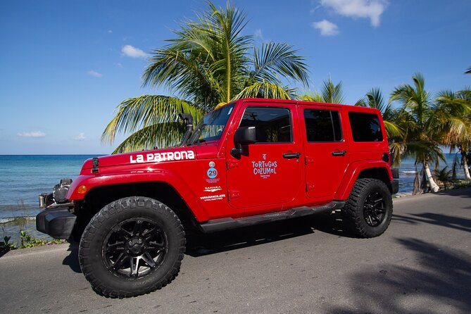 Super Cozumel Combo Snorkel by Boat and Jeep Exploration (Private) - Who this tour suits best (and who should skip it)