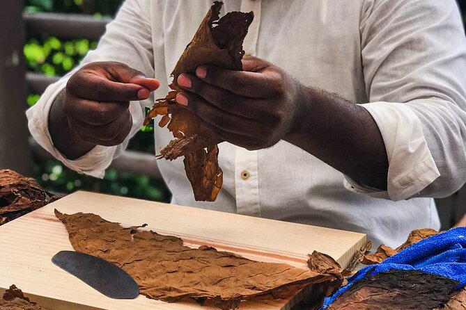 Taste of Mexico: Rolling Cigar & Tequila Experience with transfer - Downtown Cozumel shopping, without losing your whole day