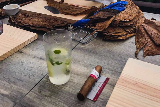 Taste of Mexico: Rolling Cigar & Tequila Experience with transfer - Should you book this Rolling Cigar and Cozumel beach day?
